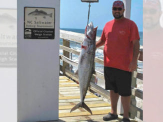 king mackerel