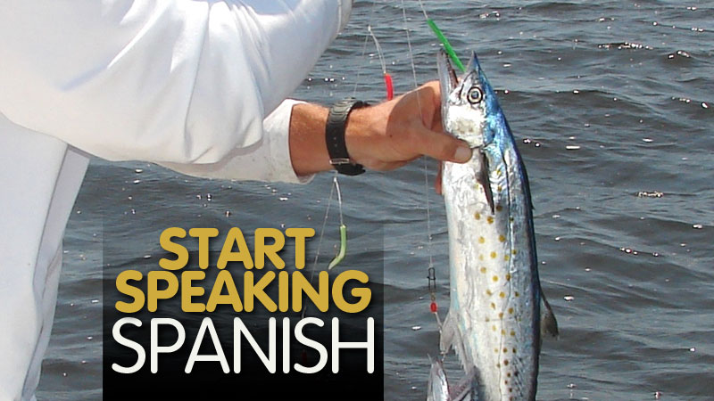One of the signs that spring has returned to the Carolinas is the arrival of Spanish mackerel in coastal waters. These little mackerel are targeted by fishermen from Hilton Head to Nags Head, and rightfully so.