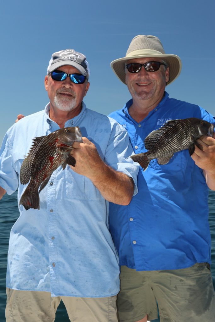 May 15 is opening day of black sea bass season north of Cape Hatteras