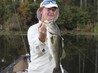 bass