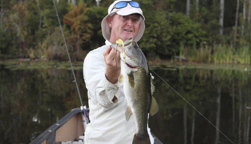 bass
