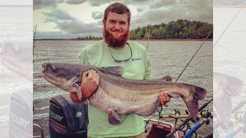 catfish
