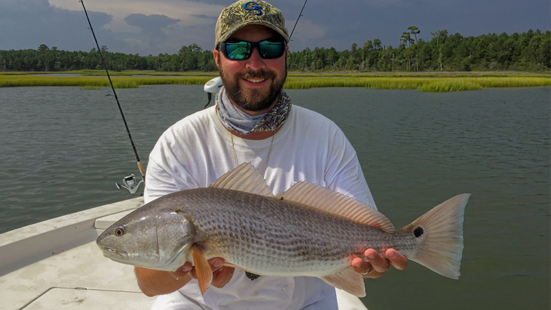redfish