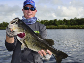 bass