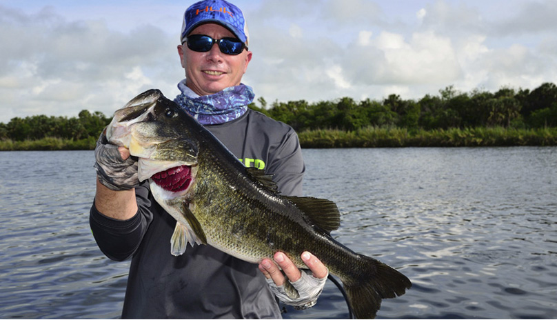 bass