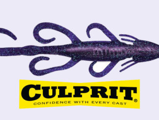 Culprit’s Water Dragon