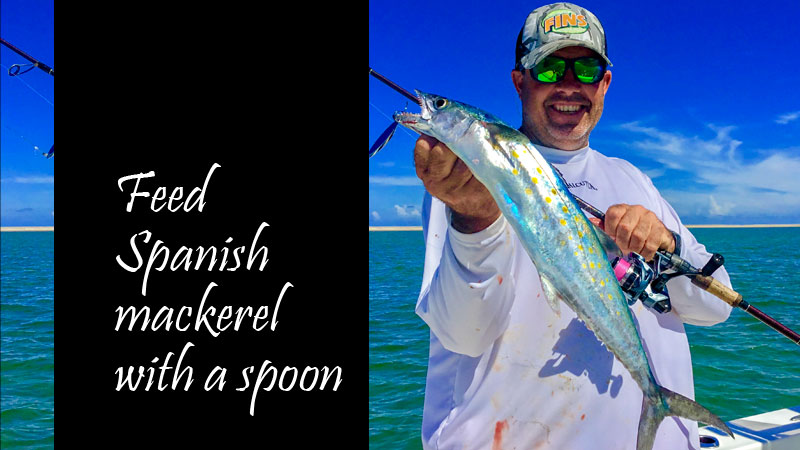 September is a transition month at the North Carolina coast, as fish move from summer’s deep offshore haunts to nearshore waters.