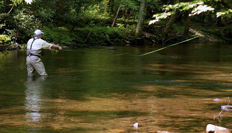 Hazel Creek
