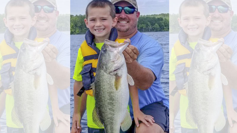 bass