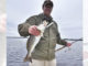 trout