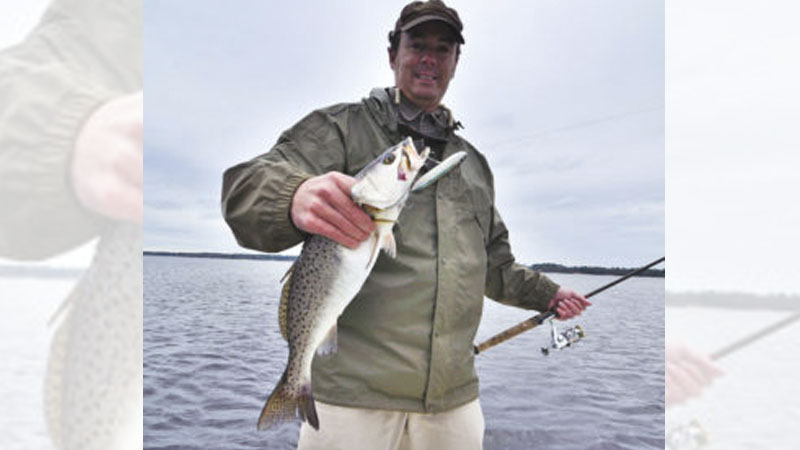 trout