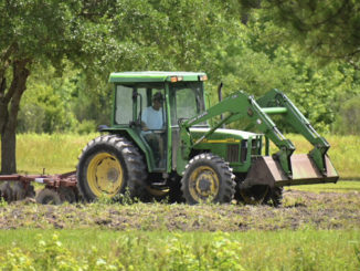 food plot