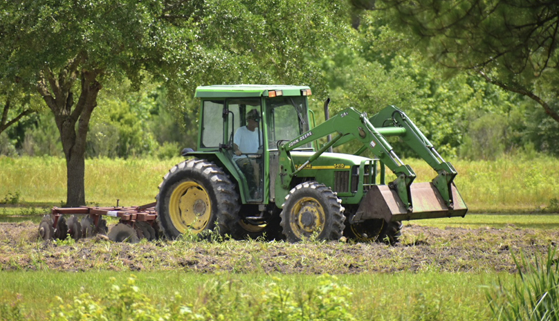 food plot