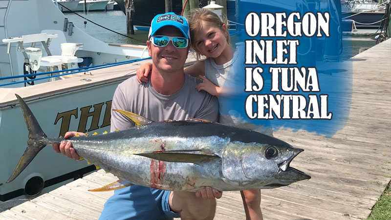 Oregon Inlet anglers have access to some of the hottest tuna fishing found anywhere in the Carolinas.