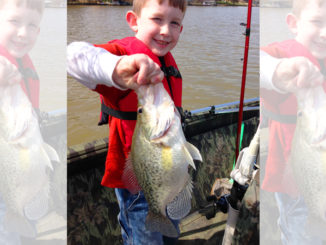crappie