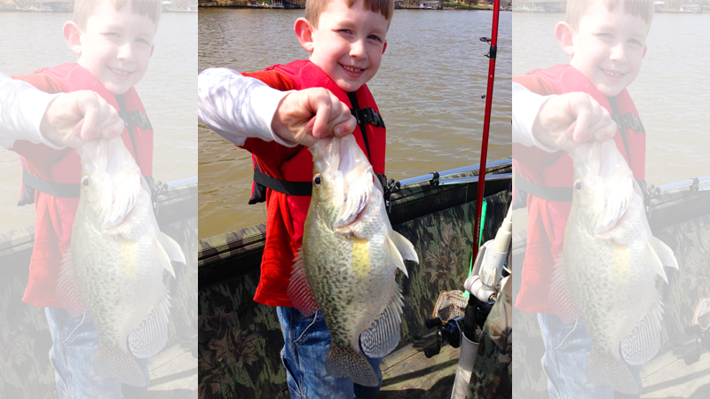 crappie