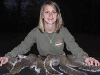 squirrels