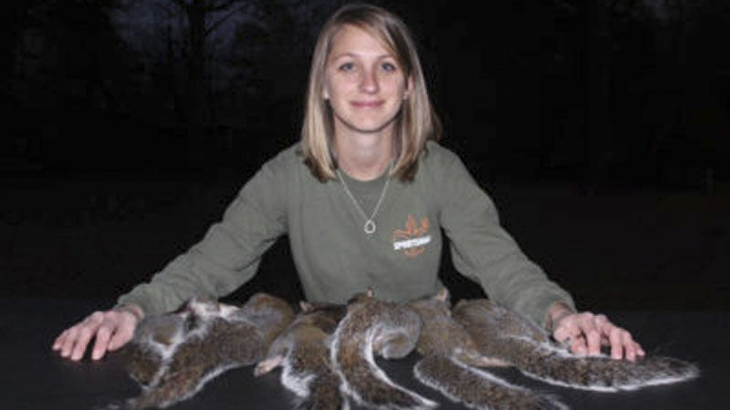 squirrels