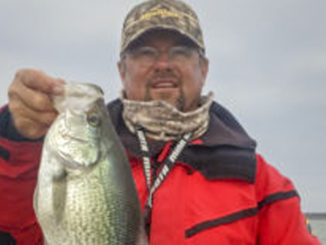Jordan Lake crappie