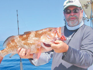 Grouper