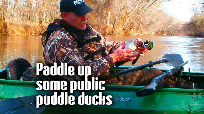 puddle ducks
