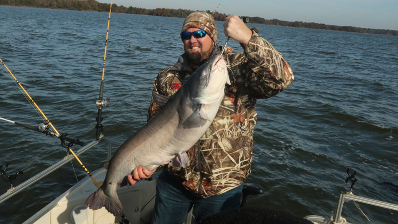 winter catfish