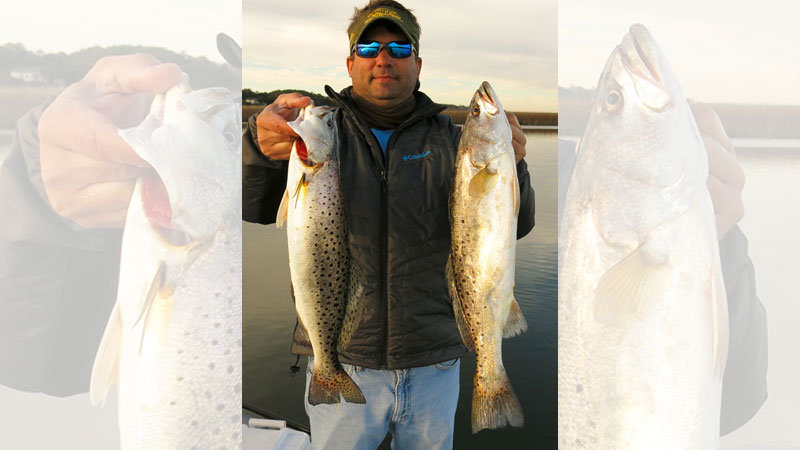 trout