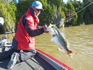 Big spinnerbaits are key lures on the Santee Cooper lakes in February and March.