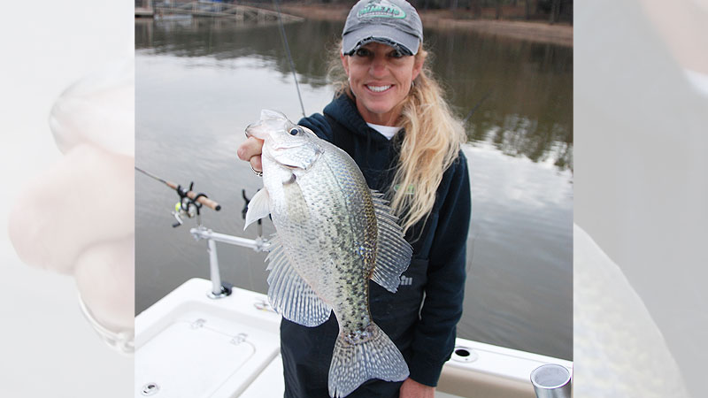 winter crappie