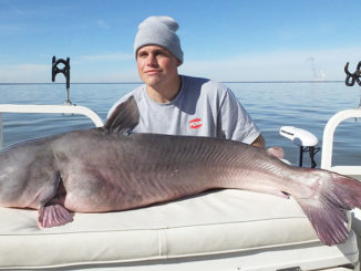 Guide Bobby Winters caught this big winter blue catfish from Lake Marion.