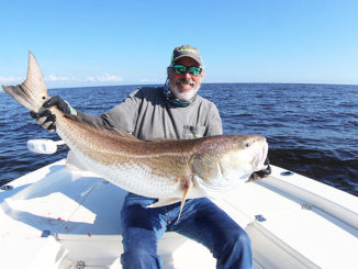 Popular guide Rod Thomas will present seminars in January at a fishing show in Raleigh, N.C., that cover big catching huge red drum like this one.