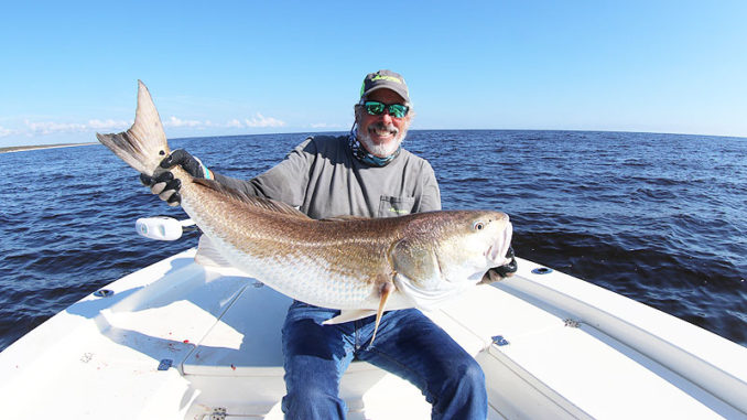 Popular guide Rod Thomas will present seminars in January at a fishing show in Raleigh, N.C., that cover big catching huge red drum like this one.