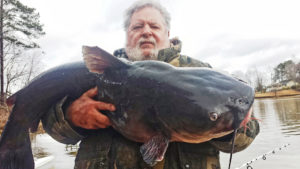 Lake Wateree is full of big blue catfish, but top-end size and numbers may actually be improving.
