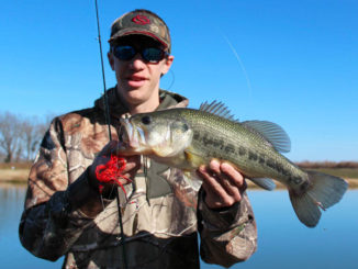 Big spinnerbaits are great tools for catching February bass on South Carolina’s Cooper River.