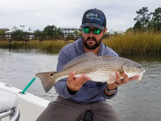 Guide Shane Flannigan of Charleston, S.C., can usually catch several fish out of a winter school of reds before they spook.