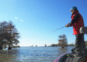 A slight depression ringed by cypress trees is a great place to find big, prespawn female bass hanging out in February.