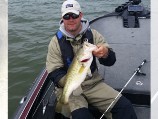 Bass pro Andy Wicker said winter bass may be deep on Lake Monticello, but they’ll bite a spoon or Alabama rig.