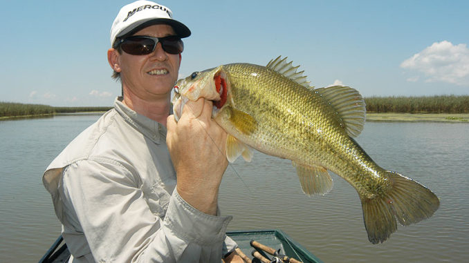Go slow, and you might get to tangle with a nice largemouth bass this month before many anglers know it’s possible.