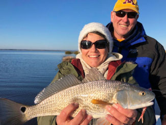 The marshes south and east of Georgetown, S.C, are full of schooling reds through the winter.
