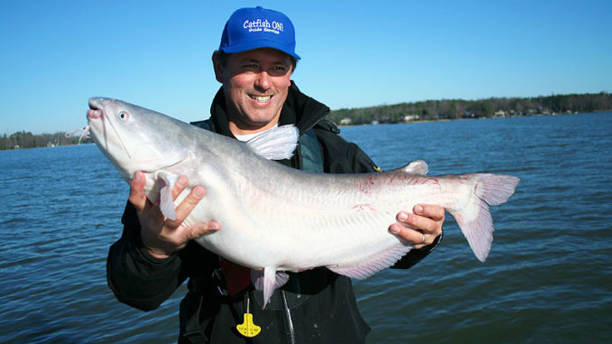 Guide Rodger Taylor works from the mouth of creeks into backwaters looking for Lake Wateree’s blue catfish in February.