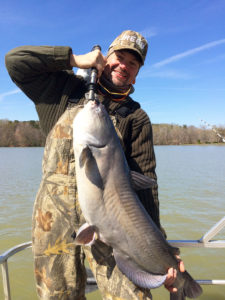 Lake Wylie’s blue catfish will move shallow once the sun warms the water in February.