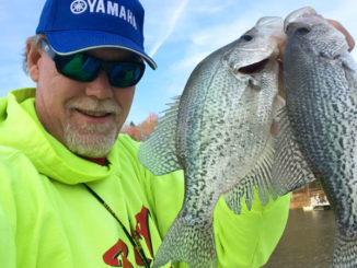 spring crappie