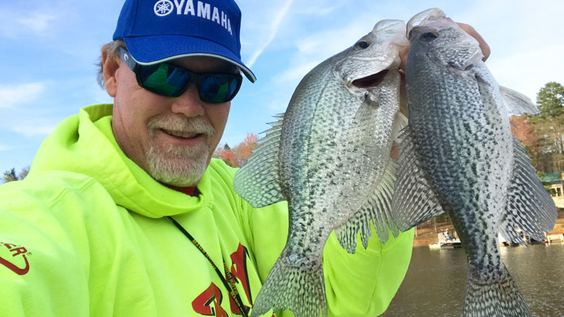 spring crappie
