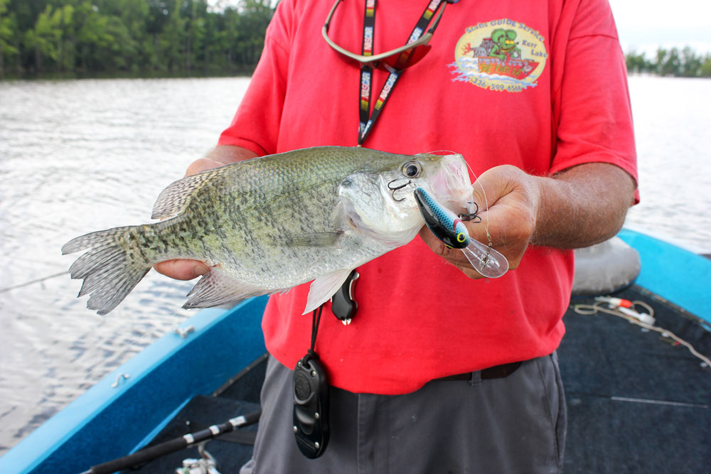 Crappie in river systems may be as much as a month ahead of their reservoir brethren when it comes to their spawning activity.