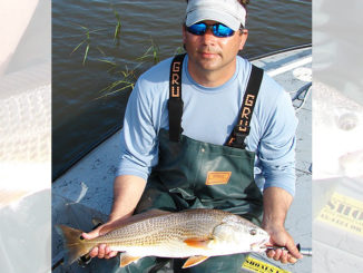 Waters in Brunswick County backwaters warm up sooner than other areas in the spring and draw hungry red drum and other predators.