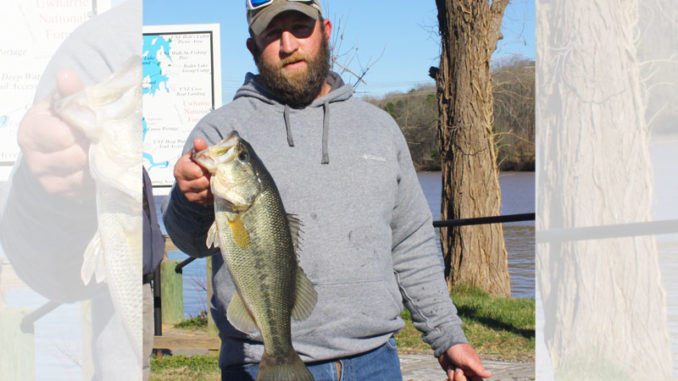Badin Lake produces plenty of nice largemouth like this one in March. This year should be no different.