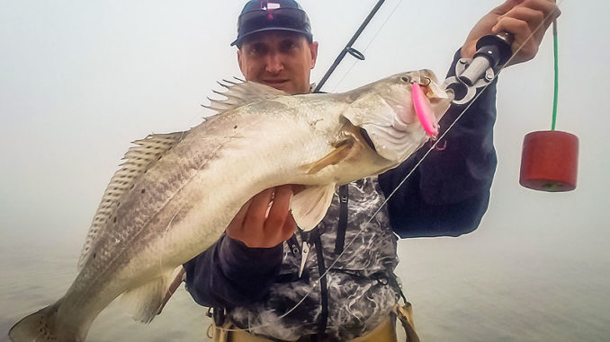 Jerkbaits can give speckled trout fits - Carolina Sportsman