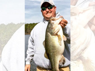 Warm weather in late February can send Jordan Lake’s largemouth bass into shallower water, and they won’t often leave before spawning a month or so later.