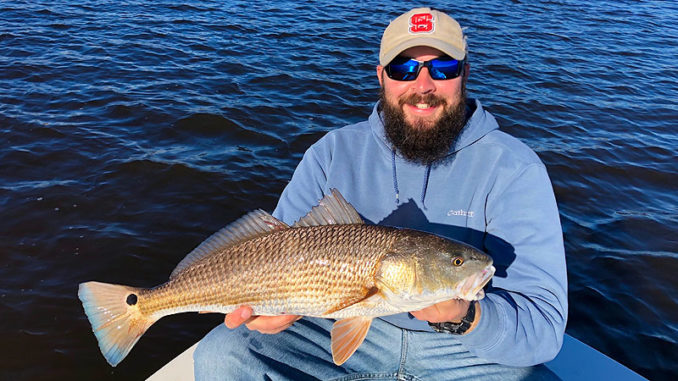 Red drum on the move back into NC central coast's inside waters