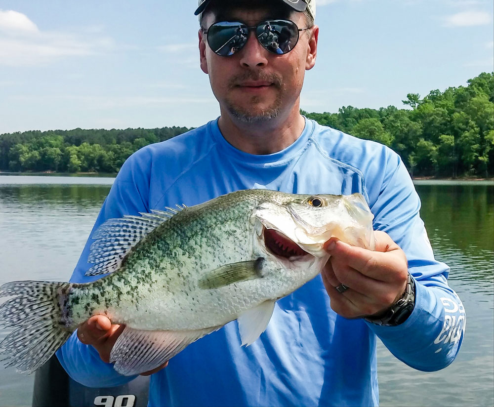 White crappie can often be distinguished from black crappie by their dark, vertical bars, but counting dorsal spines is the only guaranteed way to tell them apart.